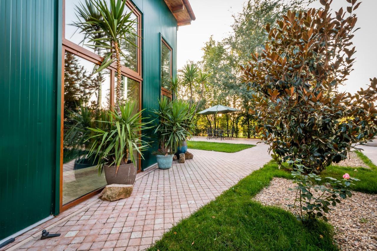 Daiconi Boutique House Bed & Breakfast Minis Bagian luar foto