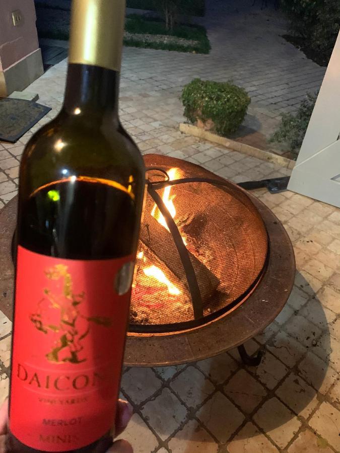 Daiconi Boutique House Bed & Breakfast Minis Bagian luar foto